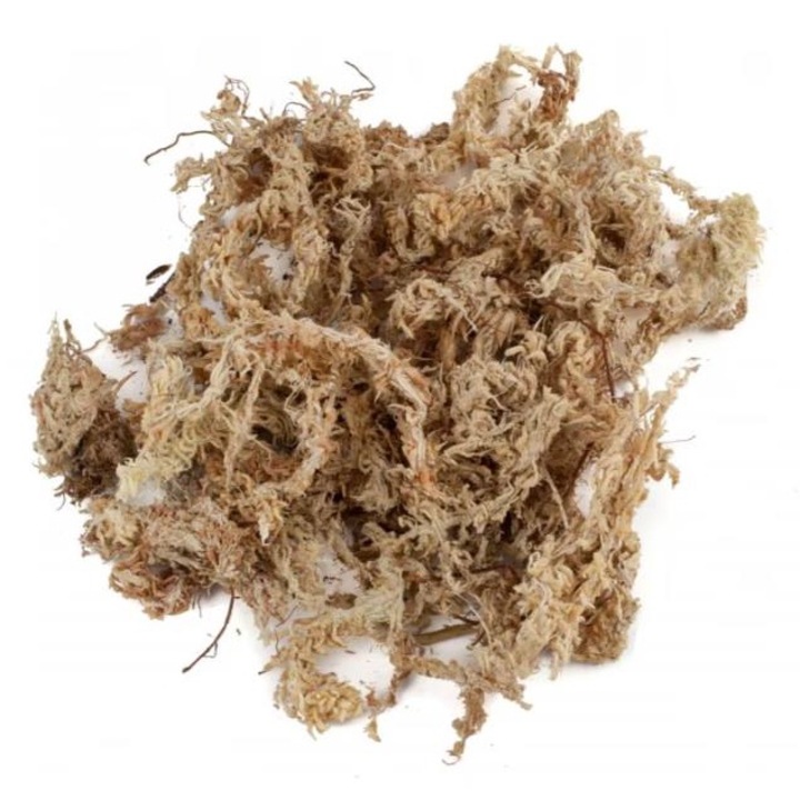 Prémium minőségű, válogatott, szárított chilei sphagnum moha 5 liter