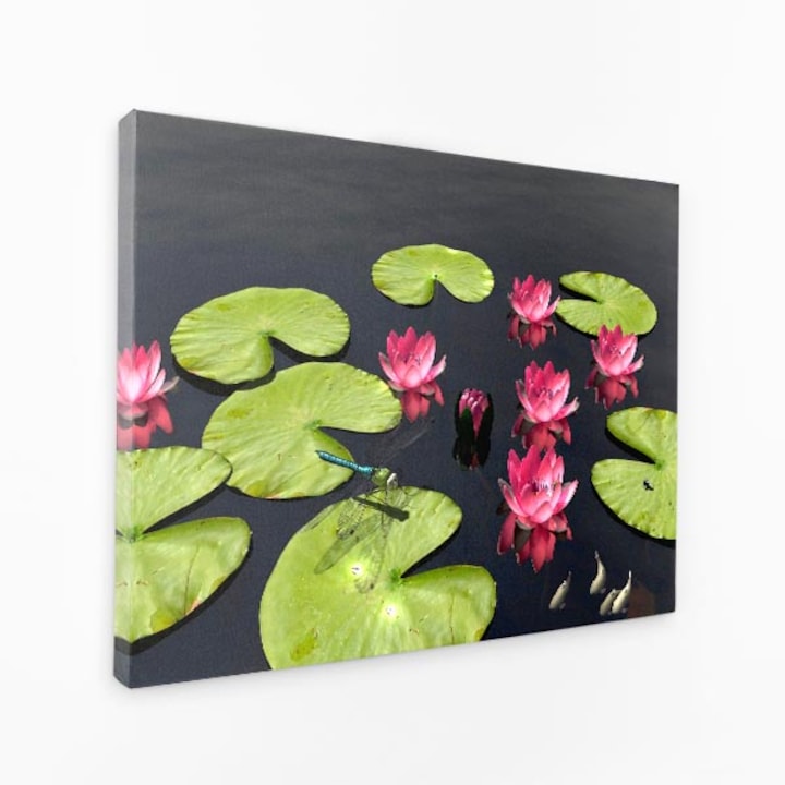 Картина на платно - водни кончета, езерце, лилии, водни лилии - 140x90 см