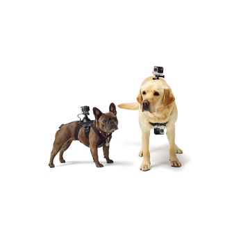 Ham pentru caini cu prindere quick-release pentru GoPro Hero 2 Hero 3 Hero 3+ Hero 4 Hero 5 Ham pentru caini cu prindere quick-release pentru GoPro Hero 2 Hero 3 Hero 3+ Hero 4 Hero 5