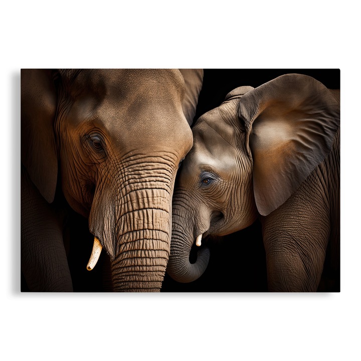 Tablou Canvas, Elefanti Africani, 70x100 cm