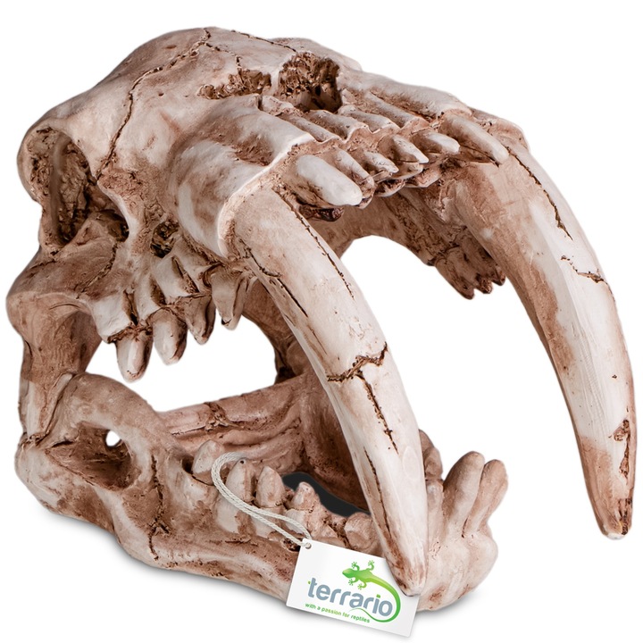 Decoratiune craniu de tigru pentru terariu, Terrario Sabertooth Skull, ornament, 13x8, 5x11 cm