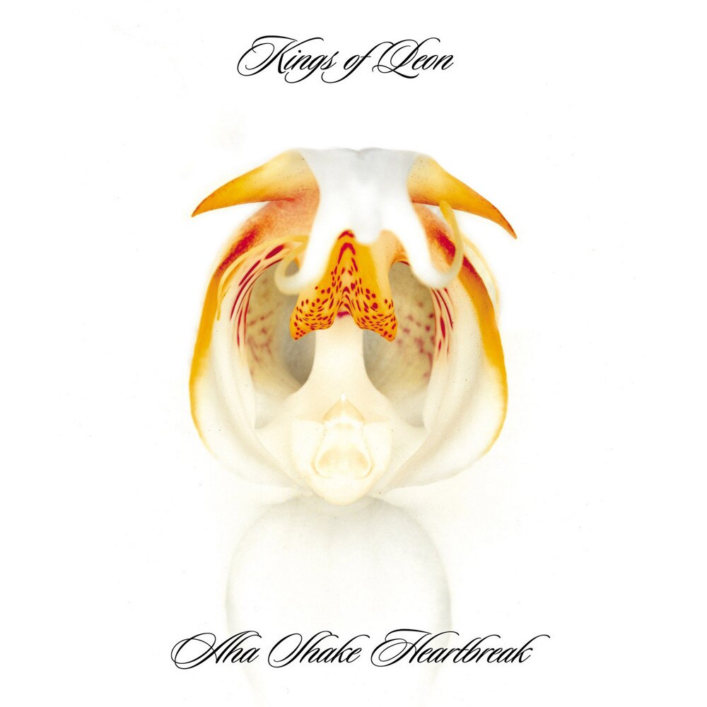 Kings Of Leon - Aha Shake Heartbreak [LP] (2vinyl)