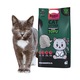 Asternut igienic pentru pisici 100% biodegradabil, Pin, Tofu pisici, 2.5 kg, 6L, Bubu Pets