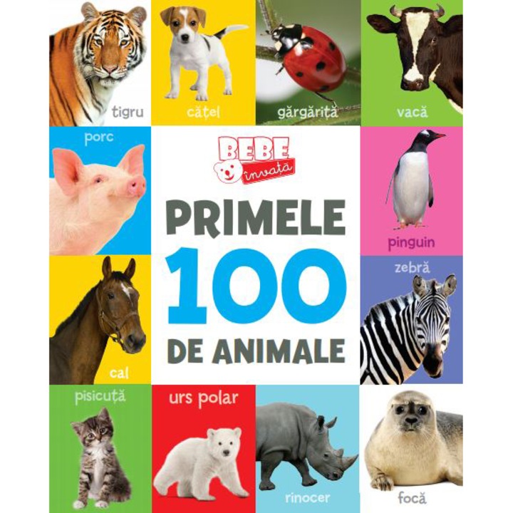Cauți Bebe Invata Alege Din Oferta Emag Ro