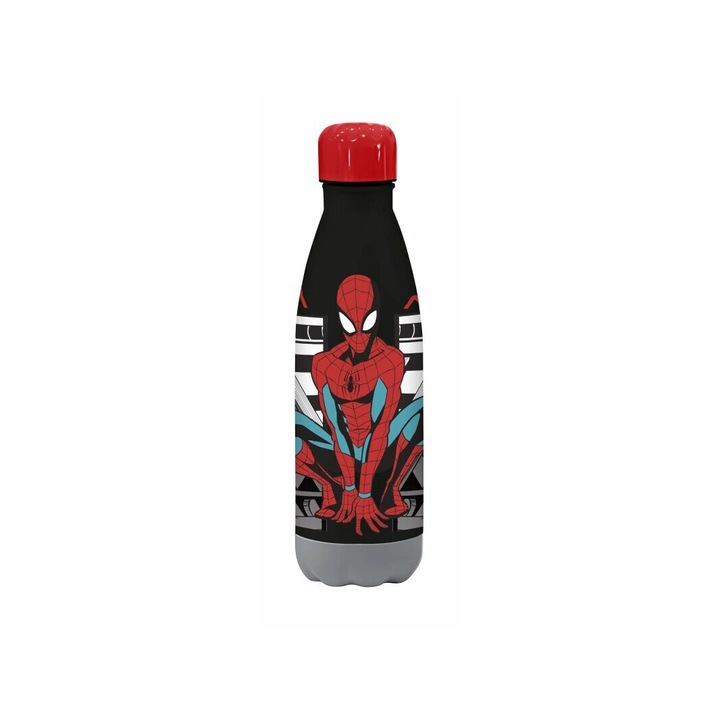 Sticla apa, inox, multicolor, 500ml