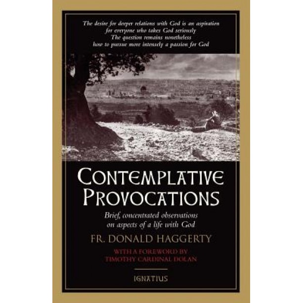 Contemplative Provocations, Donald Haggerty (Author)