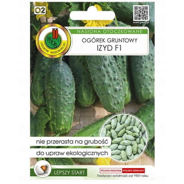 Castravete Izyd F1, un soi unic mediu-timpuriu cu productivitate ridicata