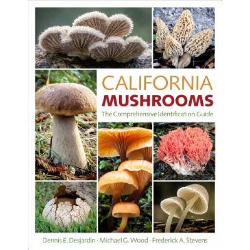 California Mushrooms, Dennis E. Desjardin (Author)