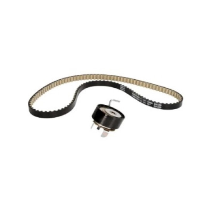 Set curea de distributie INA 530084110