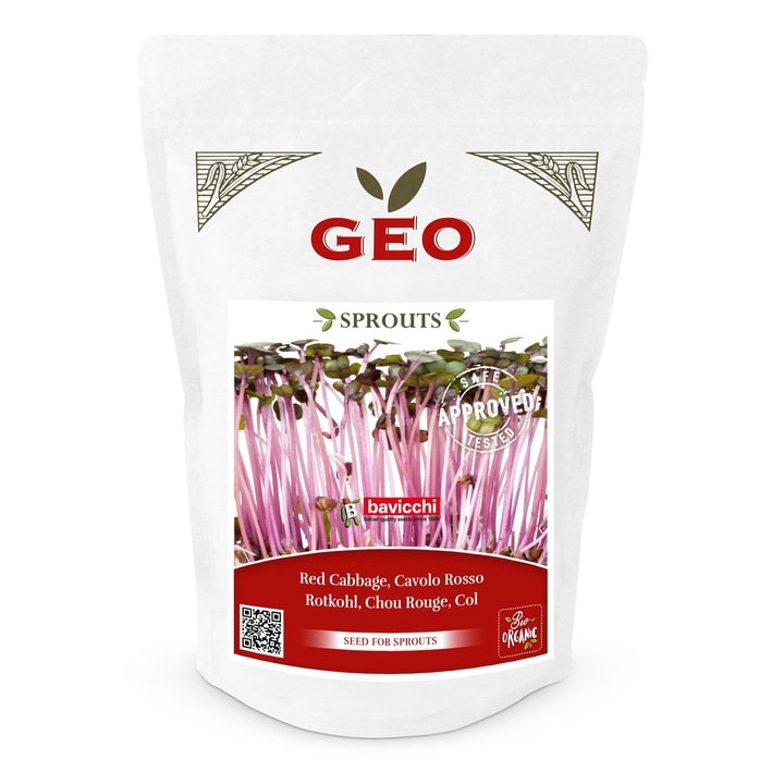 Varza rosie seminte pentru germinat 300g