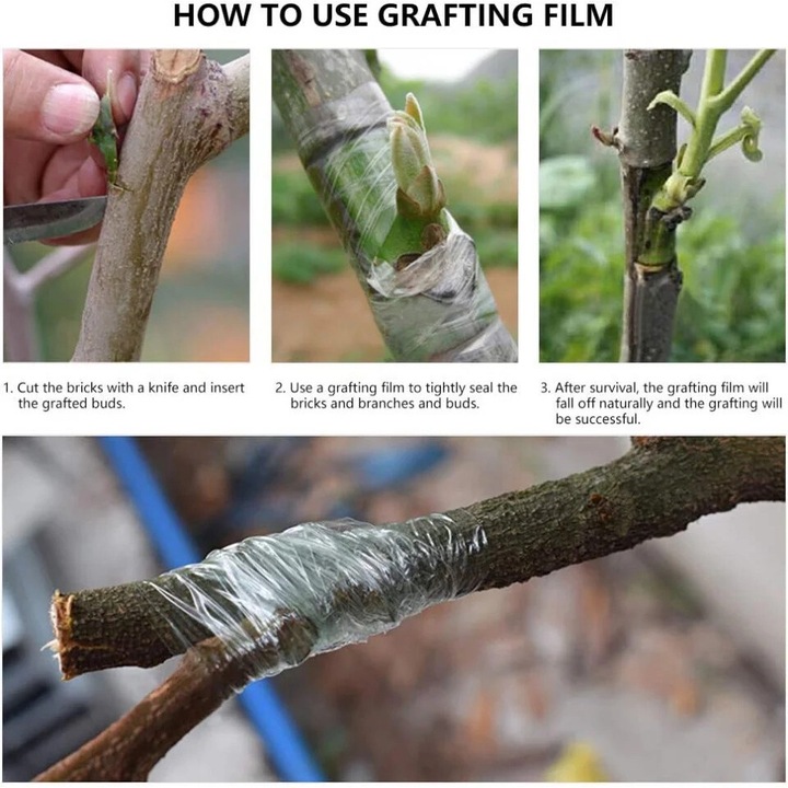 Rola de banda auto-adeziva pentru gradina Venga amigos, verde transparent, 200 m x 10 cm