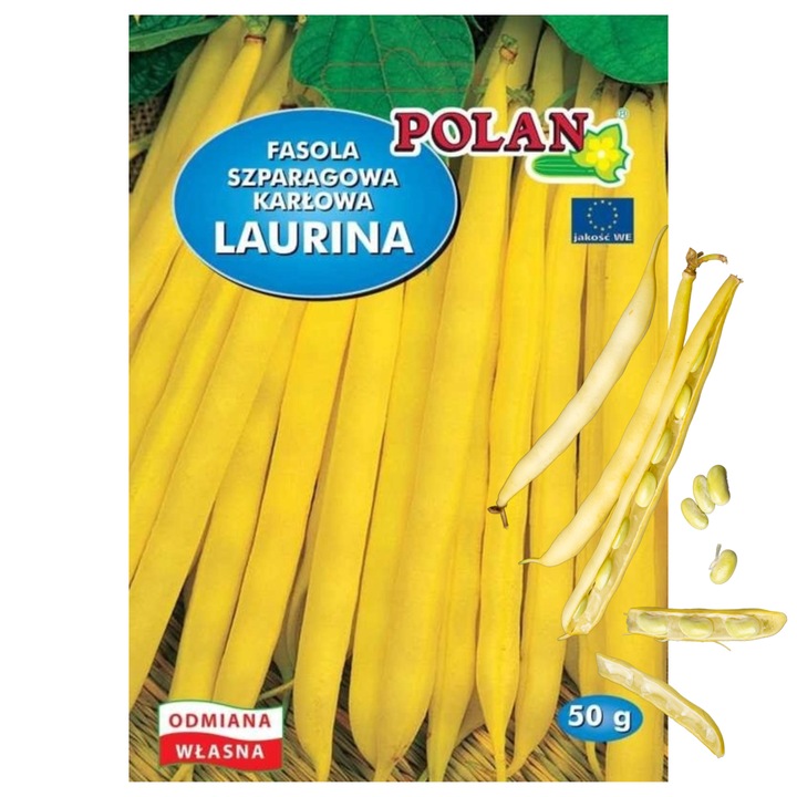 Fasole Laurina, Polan, 50 g, Galben