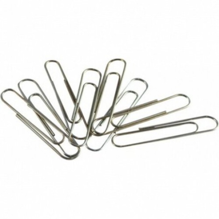 Комплект от 100 поцинковани телчета Memoris 33 мм