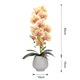 Орхидеи с естествен вид в керамична саксия, 80 см, Naimeed D6905, Бледооранжево/Бяло