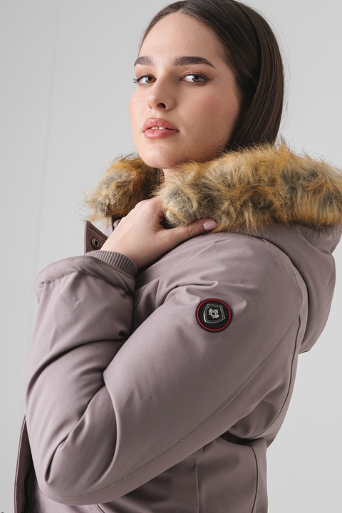 Anapurna, Парка Dinastiana, Сиво-кафяв