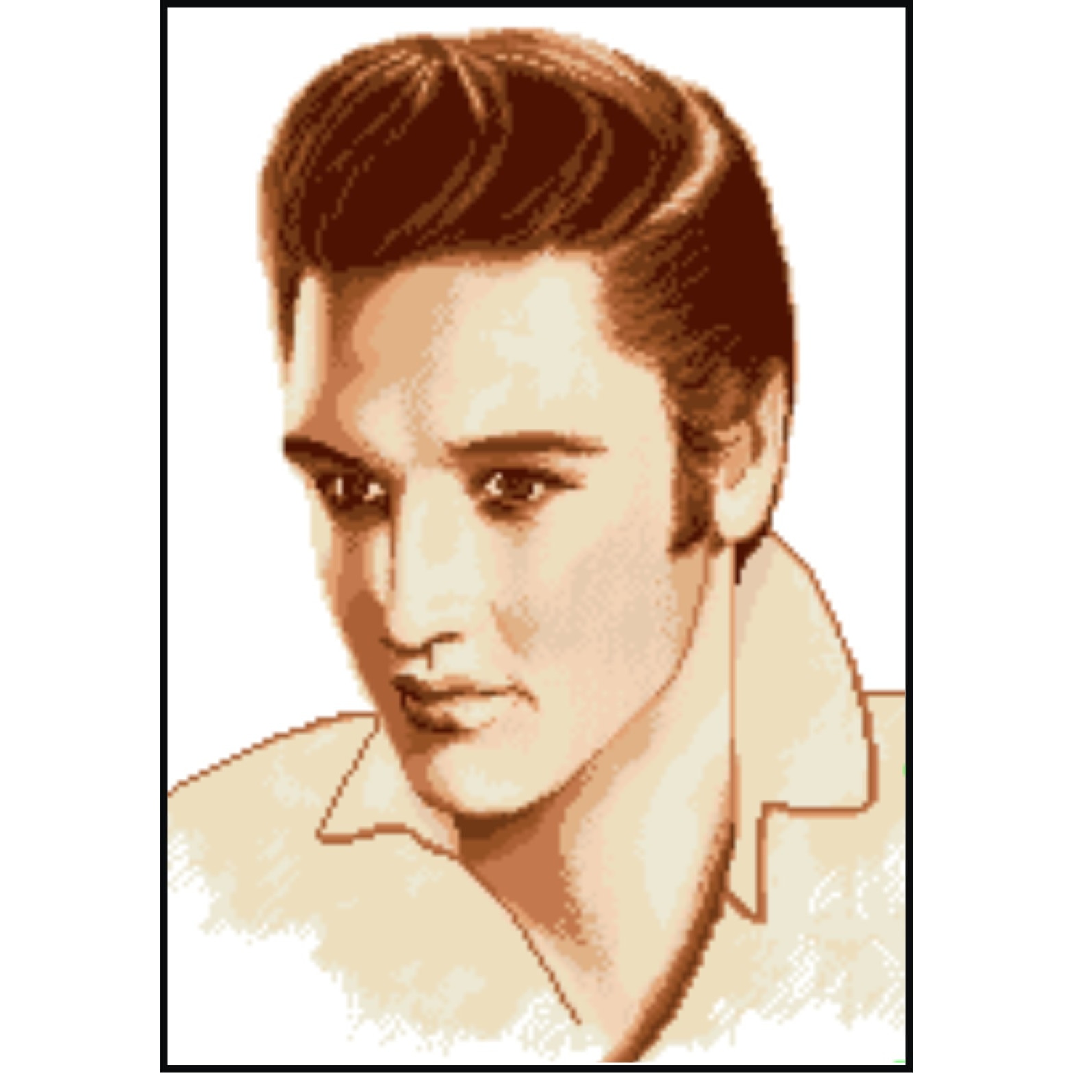 Elvis - kit goblen cu diagrama color