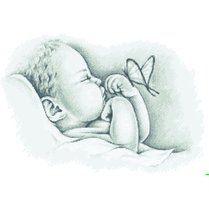 Vis de bebelus - kit goblen cu diagrama alb-negru