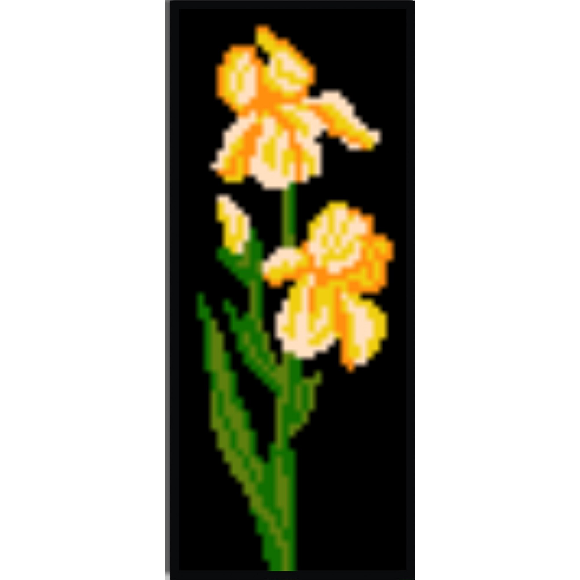 Iris galben - kit goblen cu diagrama alb-negru