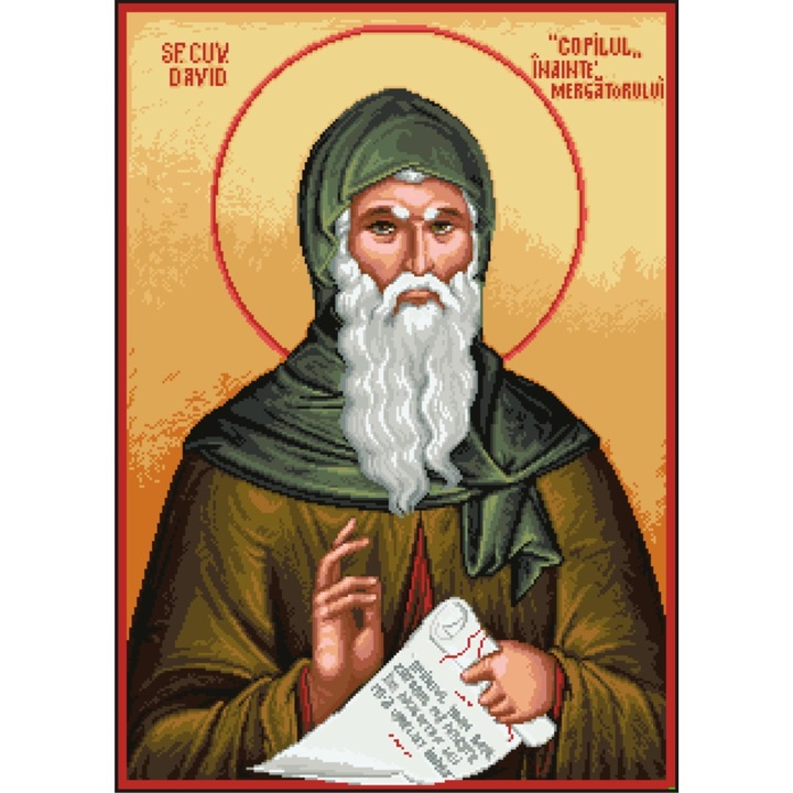 Sfantul Cuvios David - kit goblen cu diagrama color