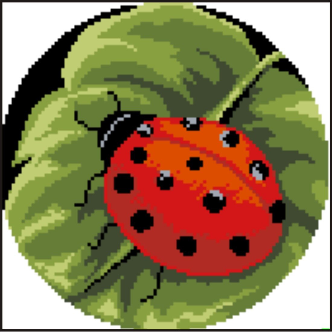 Gargarita - kit goblen cu panza imprimata