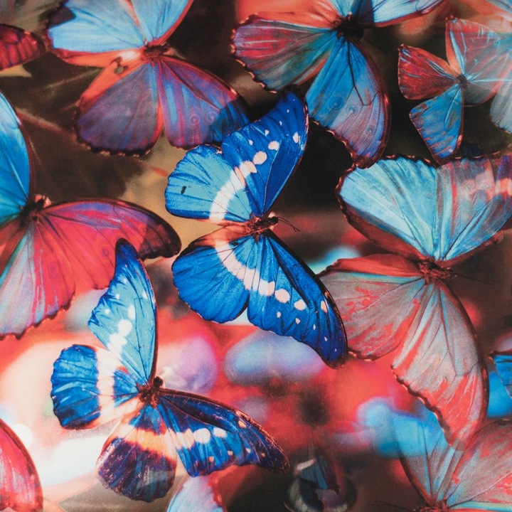 Viscose Twill Tesatura Fluture Model, pentru cusut fete de masa, perdele, rochii, Albastru