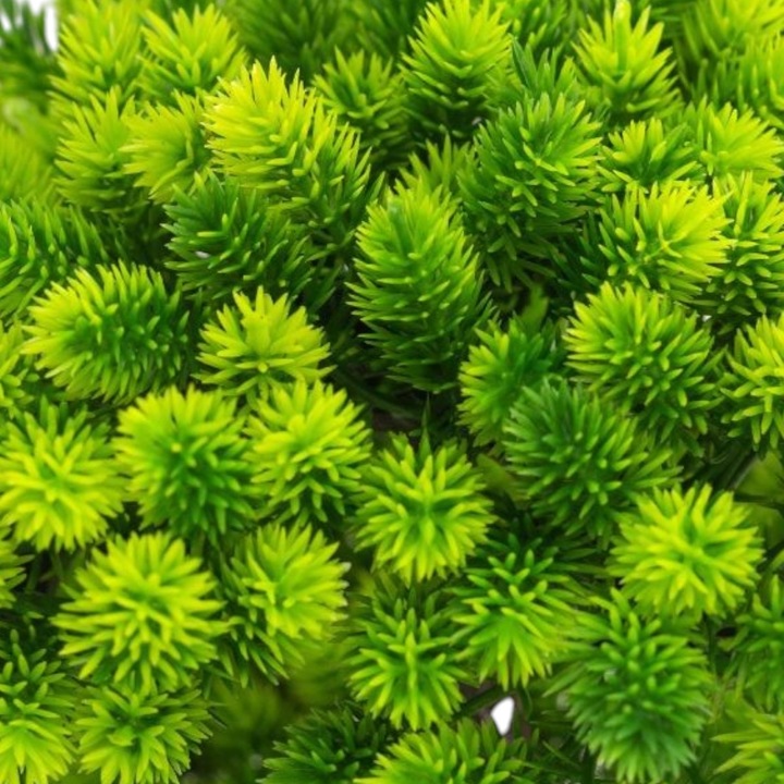 Изкуствена елха, тип бор, със саксия, Naimeed D6913A, 50x12 см, зелена