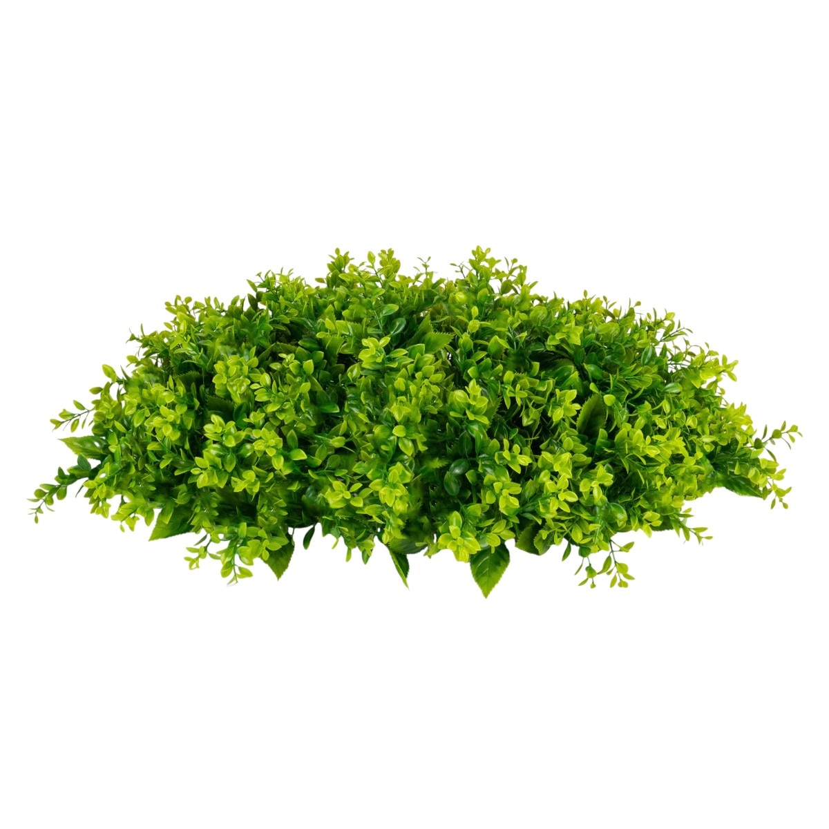 Planta decorativa artificiala, tip Buxus, Naimeed D6966, 80x40 cm
