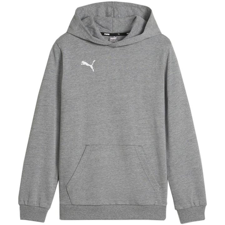 Детски суичър, Puma, Team Goal Casuals, сив, памук