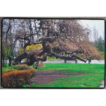 Covor bucatarie Prestige 4927, model Copac, schenille printed, 80x120cm, gramaj 1250g/mp Covor bucatarie Prestige 4927, model Copac, schenille printed, 80x120cm, gramaj 1250g/mp