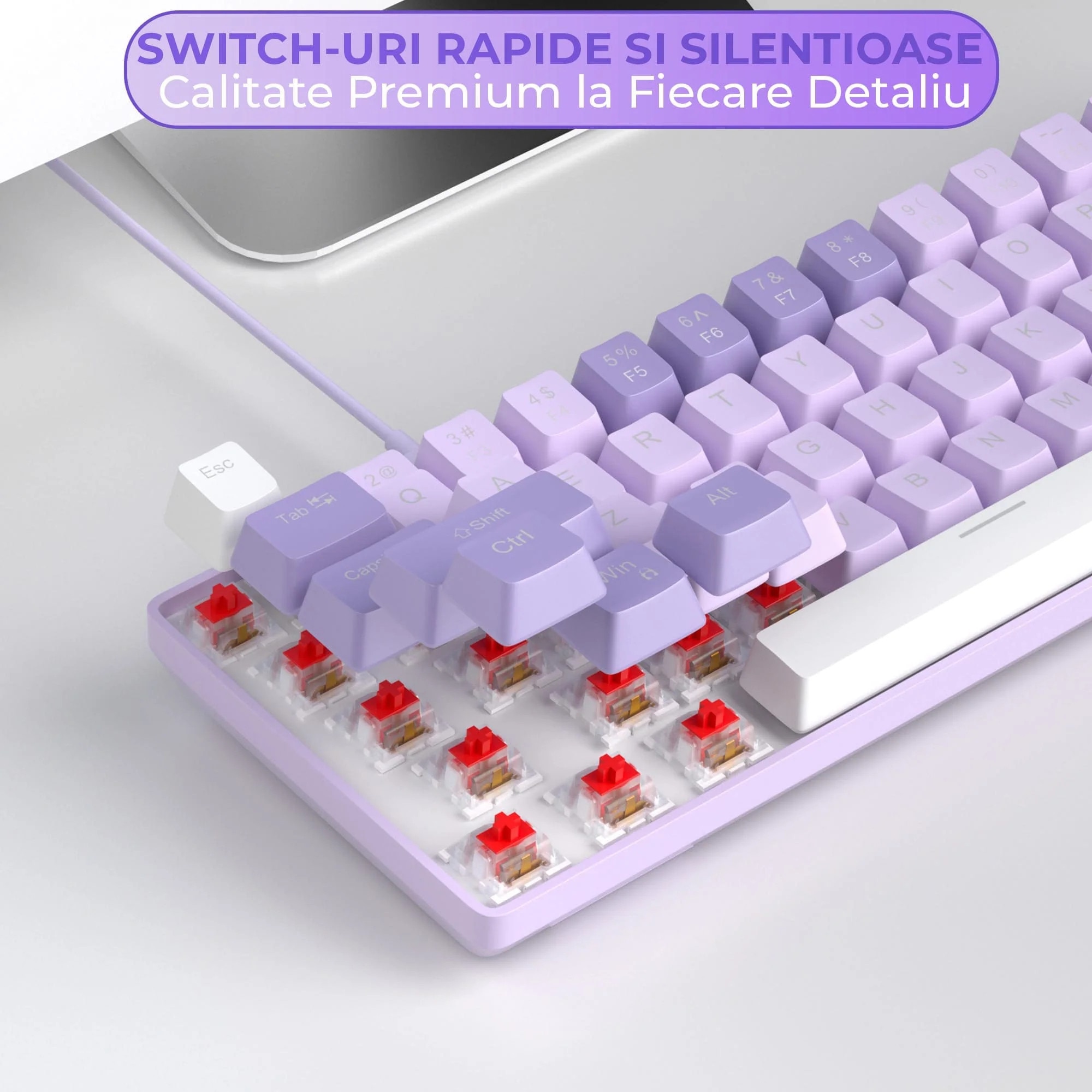 Tastatura Mecanica Gaming Timebox, 60%, iluminare RGB, 68 taste