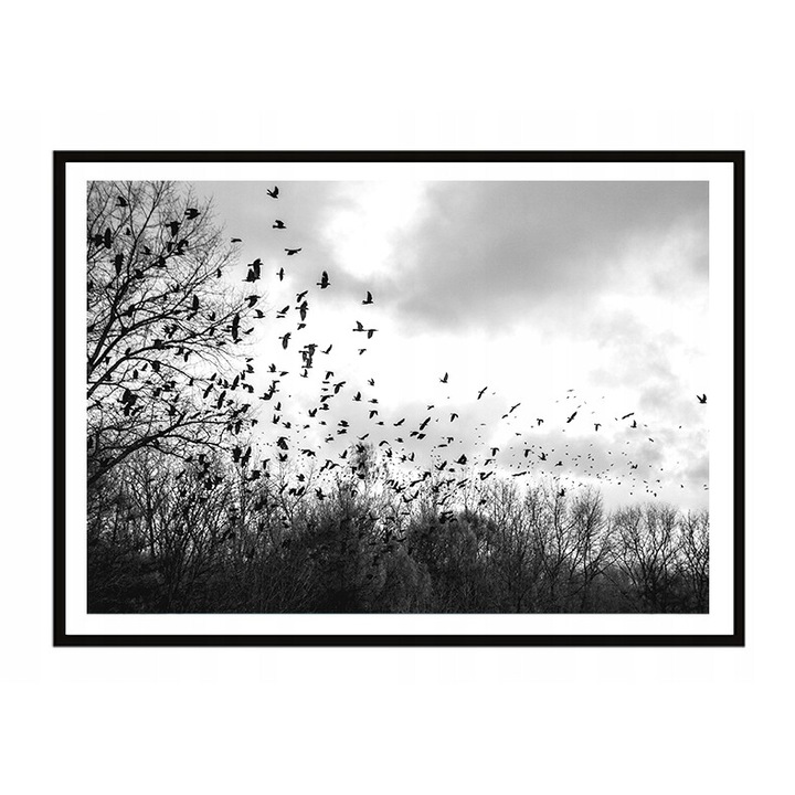 Tablou cu rama, PoStar, 73x53 cm, negru