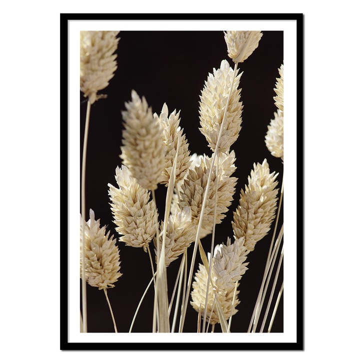 Картина PoStar, изображение с цветя и трева, 73x53cm, минимализъм