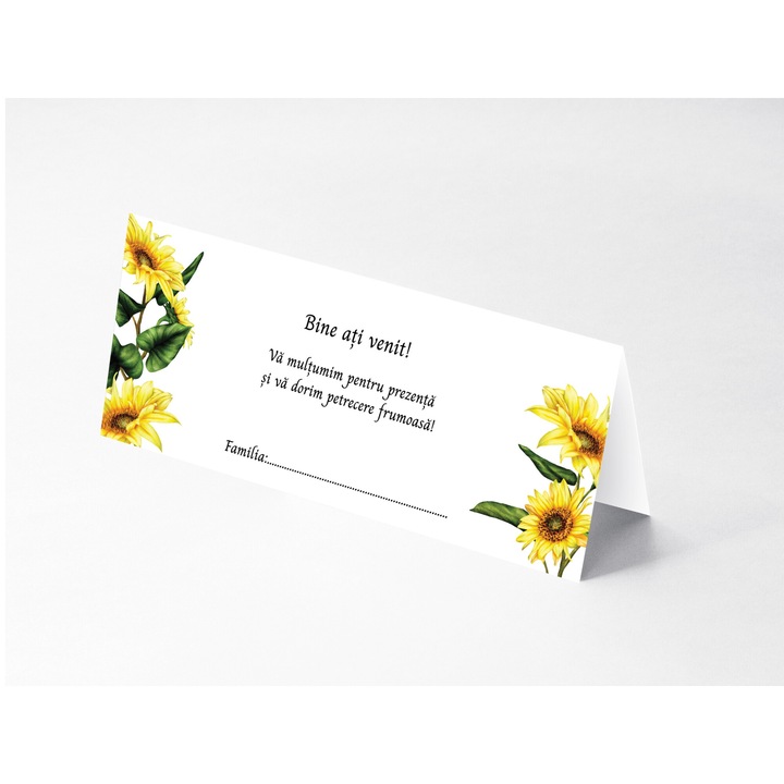 Plic bani pentru Nunta, Set 10 bucati, cu buzunar interior lipit, Model 11, 21 x 9 cm