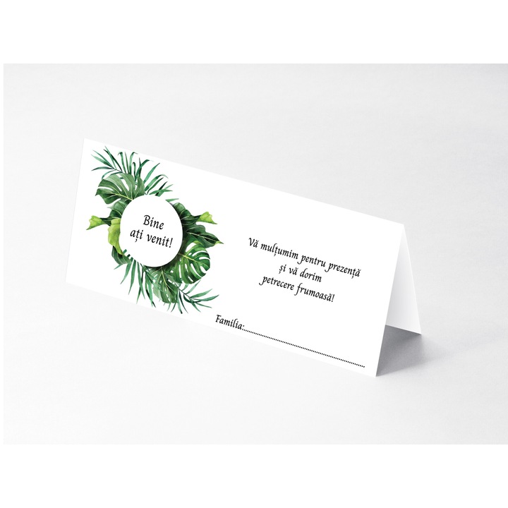 Plic bani pentru Nunta, Set 10 bucati, cu buzunar interior lipit, Model 17, 21 x 9 cm