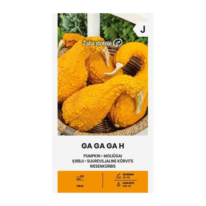 Seminte, Dovleac Ga Ga Ga H, Žalia Stotelė, plic, 1 gram