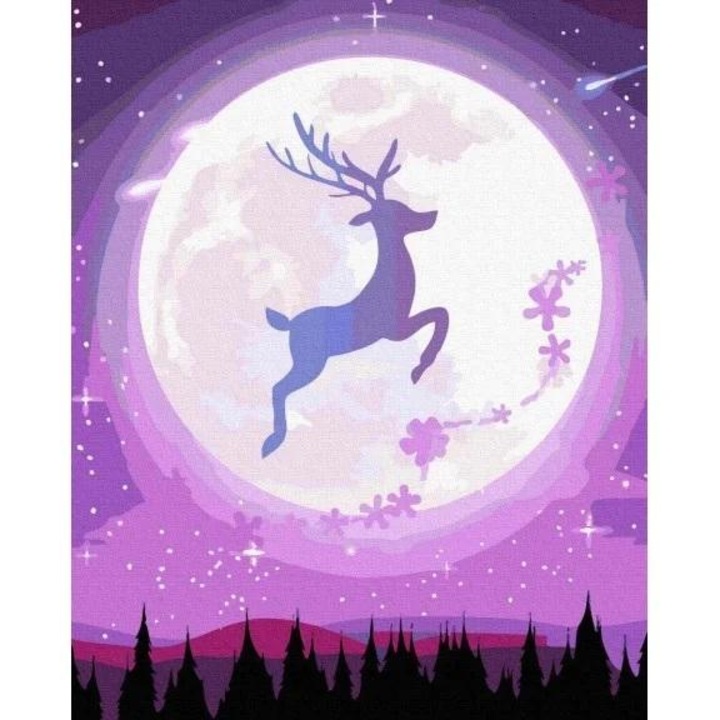 Set pictura dupa numere, 25 culori, 40x50cm