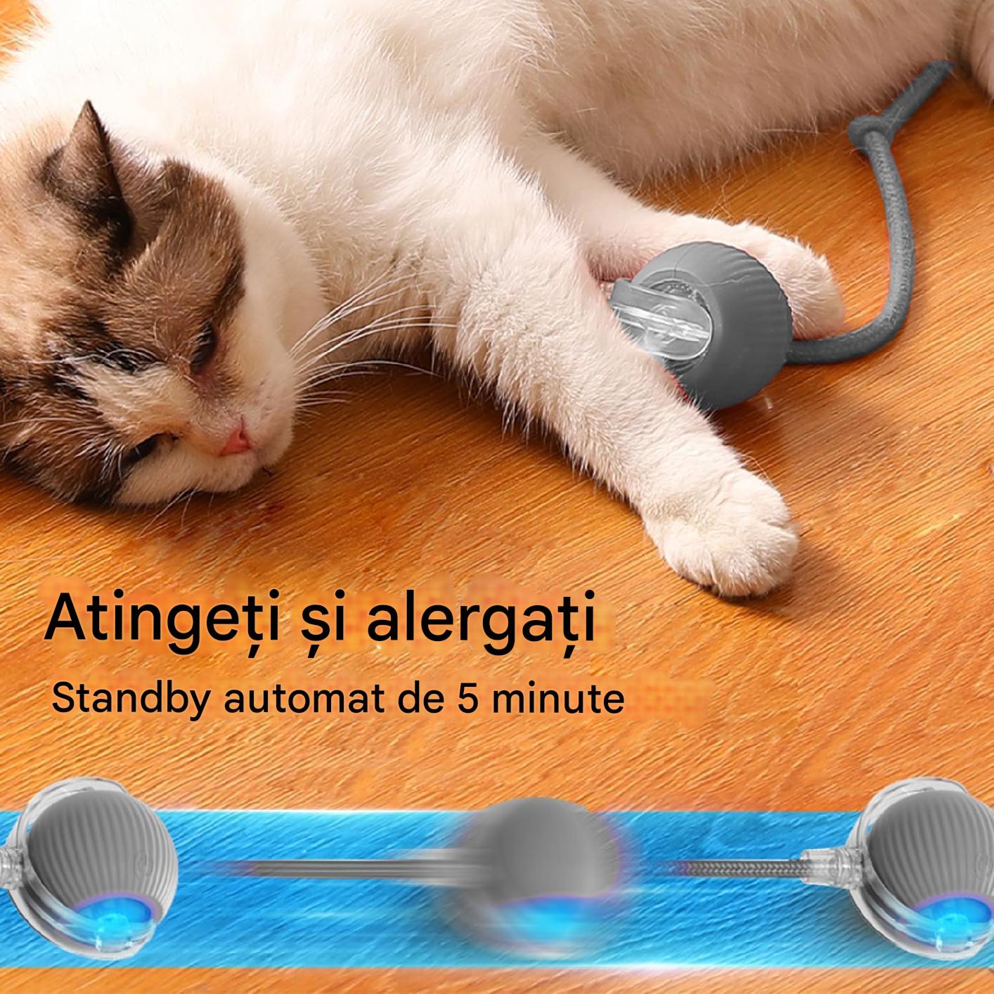 Jucarie Interactiva Smart Pentru Pisici Jucarie Pentru Pisici De jucarie-interactiva-smart-pentru-pisici-jucarie-pentru-pisici-de