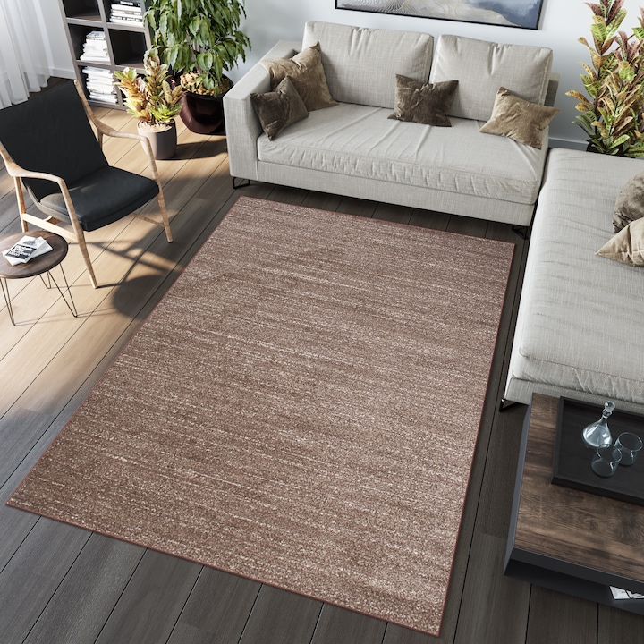 Килим, Tapiso, Sari, T006A, Размер 190x270 см, Височина на косъма 10 мм, Плътност на косъма 2200 г/м², Предназначен за всекидневна, Полипропилен, Кафяв