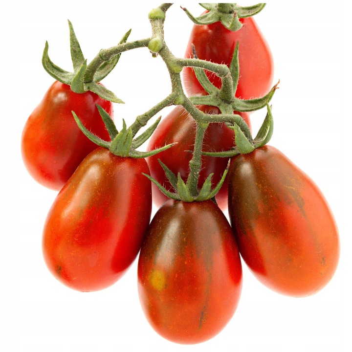 Seminte Rosii Sandybelle Cocktail Timpuriu Dulce pentru Ghivece, PNOS, fara OMG, 0.2g