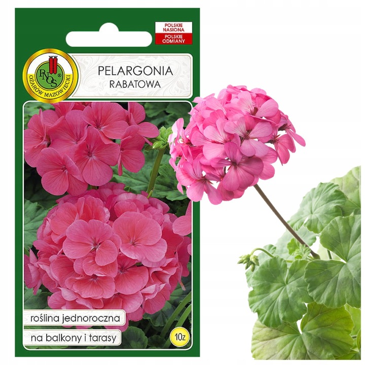 Seminte Geranium Rabatano Anual F1 Culoare Roz Pelargonie, PNOS, fara OMG, 10 buc