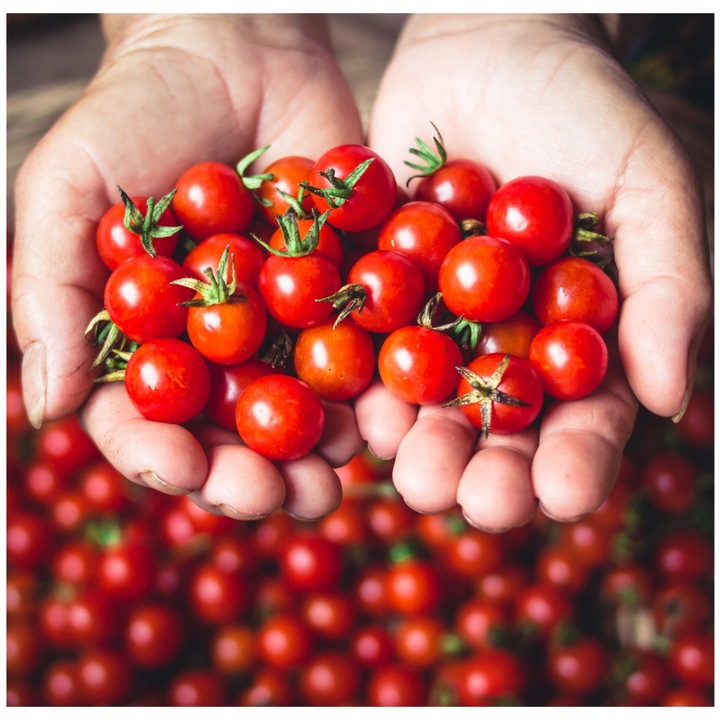 Amestec De Seminte De Flori Mici, Pnos, Numar De Seminte: 250-270 Buc In Gram, Norma De Semanat: 0,2-0,3 Kg/Ha (Din Rasad), Norma De Semanat: 1,5-2 Kg/Ha (In Camp), Perioada De Semanat: Iii - Iv, 1 G