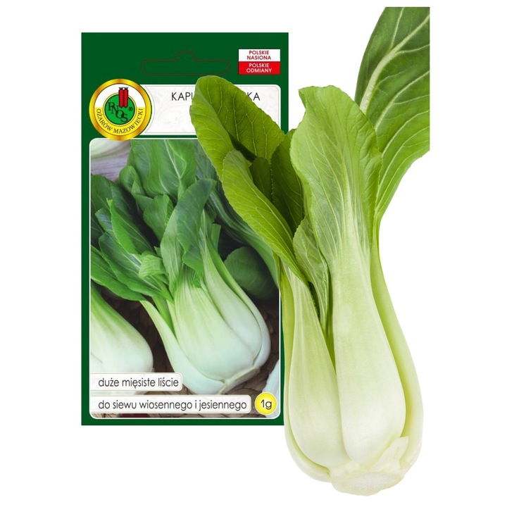 Seminte Varza Pak Choi, Pachet Chinezesc, Pnos, Semanat Pentru Rasad Vi, Semanat Direct In Sol Jumatatea Lui Vi, Adancimea Semanatului 1 cm, Perioada De Vegetatie 45 55 Zile, 1 g, Verde Inchis