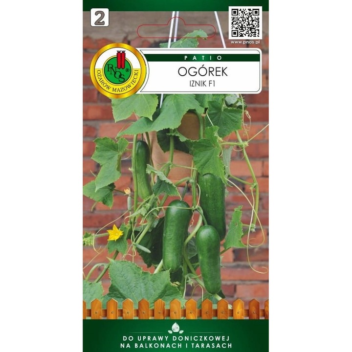 Seminte Castravete Mini Iznic pentru Terasa Balcon in Ghivece, PNOS, fara OMG, 15 buc