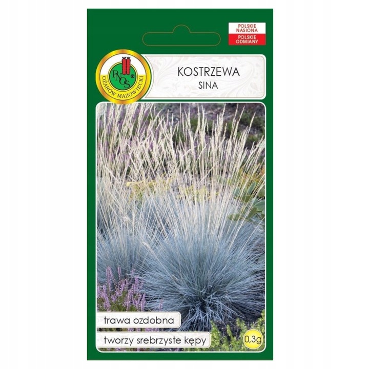 Seminte Iarba Decorativa Festuca Albastra Formeaza Malaieti Densi, PNOS, fara OMG, 0.3g