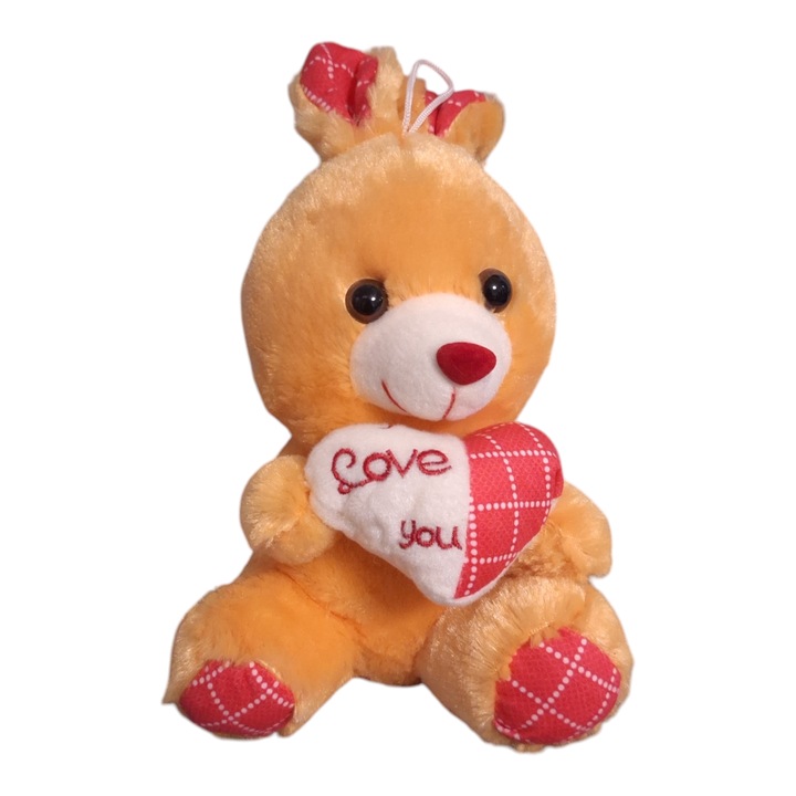 Iepuras Portocaliu Cu Pernita, Vision XXI, Vorbitor