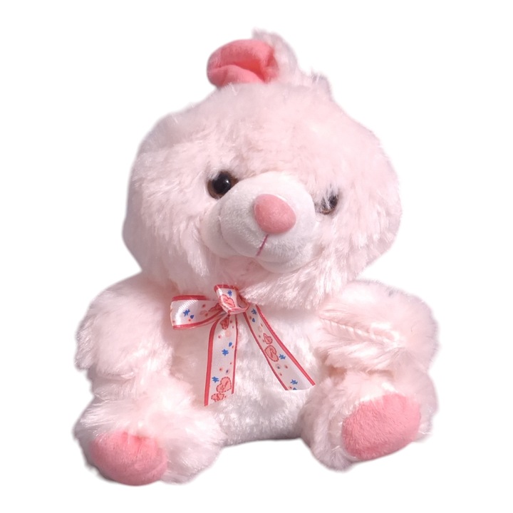 Iepuras Roz Cu Fundita, Vision XXI, Vorbitor