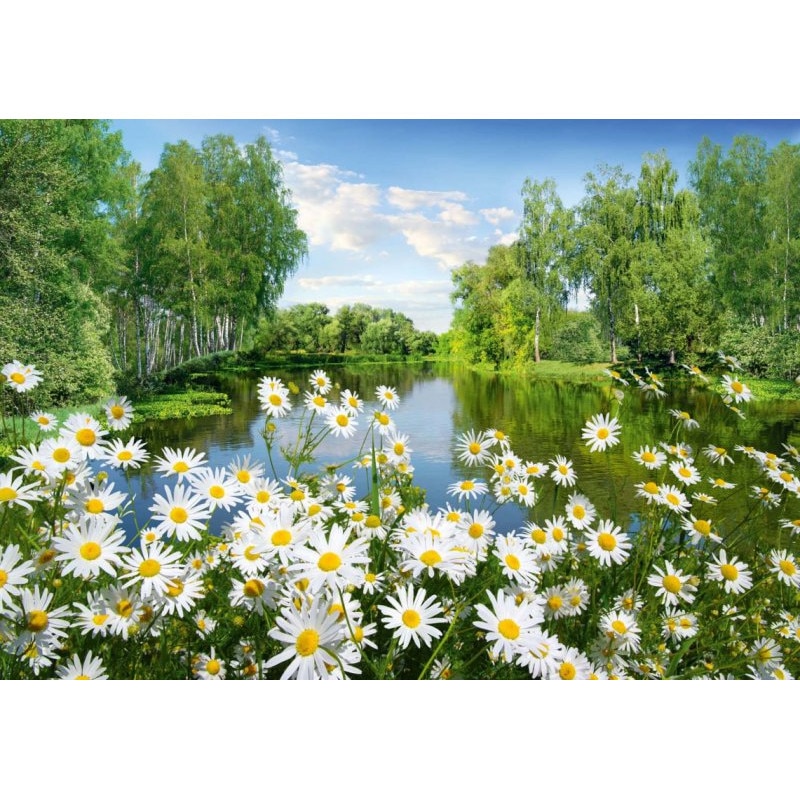 Fototapet DEGRETS 84556 Musetel 136x194cm