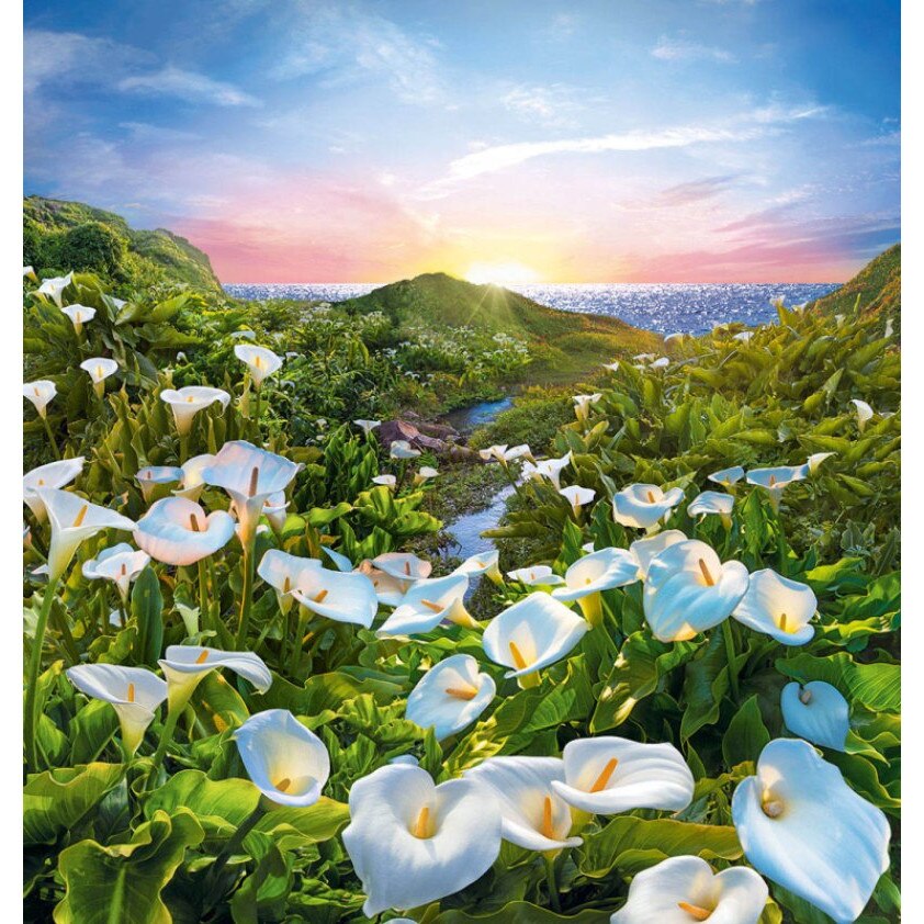 Fototapet DEGRETS 84558 Cala 204x194cm