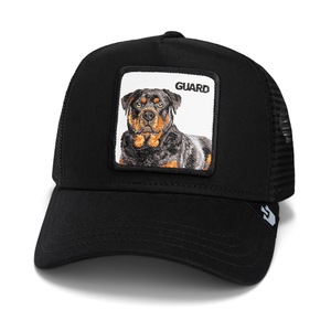 Caciuli si palarii dama