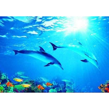 Fototapet DEGRETS 84509 Delfin 136x194cm Fototapet DEGRETS 84509 Delfin 136x194cm